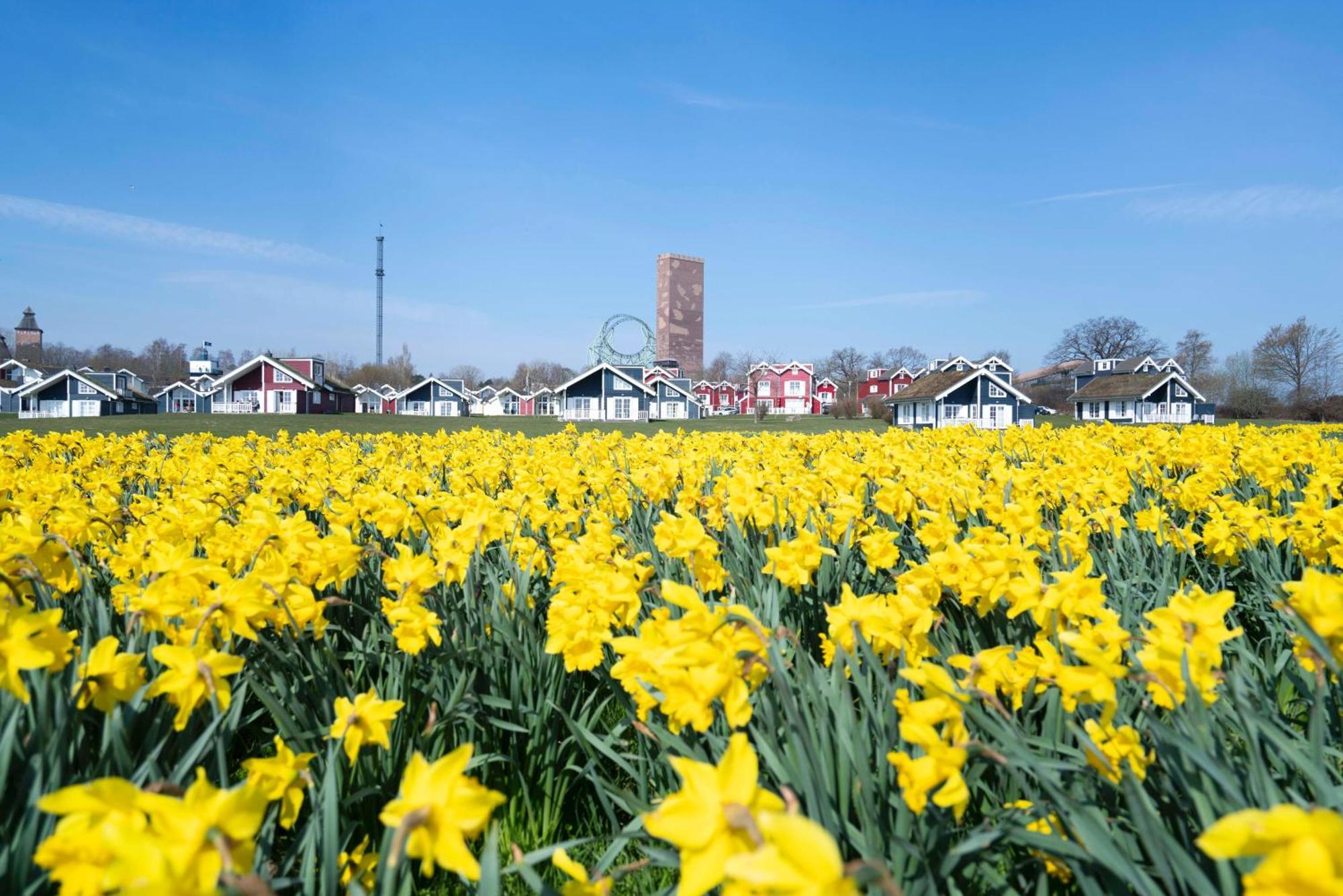 Strandpark Sierksdorf H092 "Ostsehblick" Eksteriør bilde